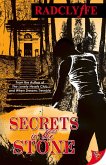 Secrets in the Stone (eBook, ePUB)