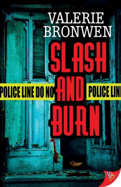 Slash and Burn (eBook, ePUB)