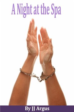 Cover A Night at the Spa (eBook, ePUB)