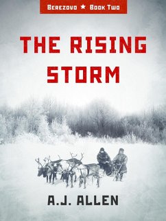 Cover Rising Storm (eBook, ePUB)