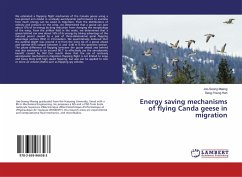 Energy saving mechanisms of flying Canda geese in migration