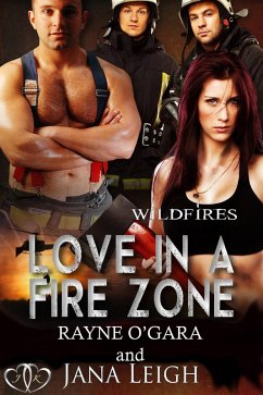 Cover Love in a Fire Zone (Wildfires, #2) (eBook, ePUB)