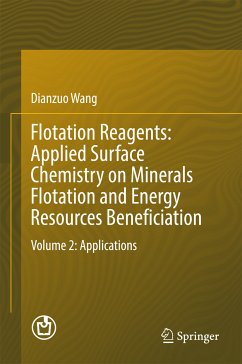 Flotation Reagents: Applied Surface Chemistry on Minerals Flotation and Energy Resources Beneficiation (eBook, PDF) - Wang, Dianzuo