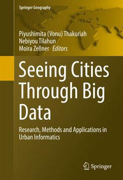 Seeing Cities Through Big Data (eBook, PDF)