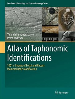 Atlas of Taphonomic Identifications (eBook, PDF) - Fernandez-Jalvo, Yolanda; Andrews, Peter