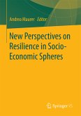 New Perspectives on Resilience in Socio-Economic Spheres (eBook, PDF)