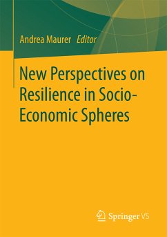 New Perspectives on Resilience in Socio-Economic Spheres (eBook, PDF)