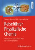 Reiseführer Physikalische Chemie (eBook, PDF)