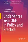 Under-three Year Olds in Policy and Practice (eBook, PDF)