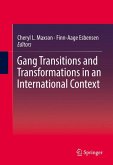 Gang Transitions and Transformations in an International Context (eBook, PDF)