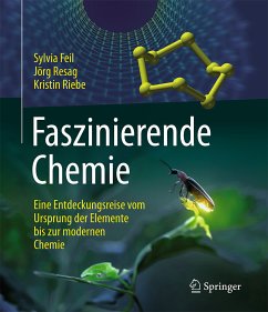 Faszinierende Chemie (eBook, PDF) - Feil, Sylvia; Resag, Jörg; Riebe, Kristin