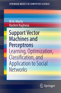 Support Vector Machines and Perceptrons (eBook, PDF) - Murty, M.N.; Raghava, Rashmi