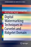 Digital Watermarking Techniques in Curvelet and Ridgelet Domain (eBook, PDF)