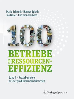 100 Betriebe für Ressourceneffizienz - Band 1 (eBook, PDF) - Schmidt, Mario; Spieth, Hannes; Bauer, Joa; Haubach, Christian