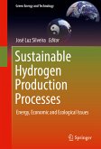 Sustainable Hydrogen Production Processes (eBook, PDF)