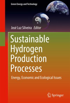 Sustainable Hydrogen Production Processes (eBook, PDF)