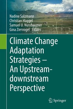 Climate Change Adaptation Strategies - An Upstream-downstream Perspective (eBook, PDF)