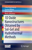 1D Oxide Nanostructures Obtained by Sol-Gel and Hydrothermal Methods (eBook, PDF)