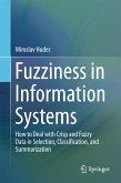 Fuzziness in Information Systems (eBook, PDF)