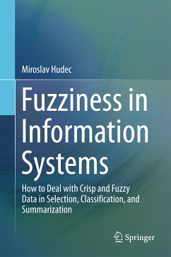 Fuzziness in Information Systems (eBook, PDF) - Hudec, Miroslav