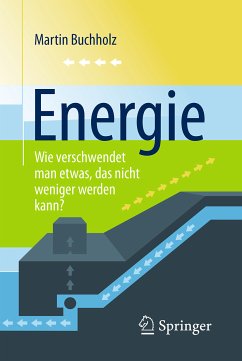 Energie – Wie verschwendet man etwas, das nicht weniger werden kann? (eBook, PDF) - Buchholz, Martin