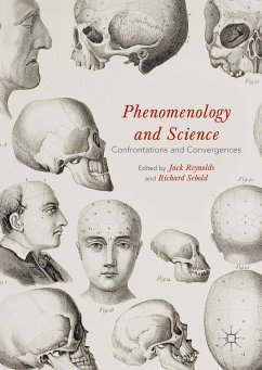 Phenomenology and Science (eBook, PDF)