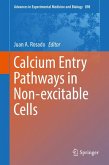 Calcium Entry Pathways in Non-excitable Cells (eBook, PDF)