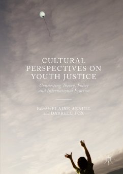 Cultural Perspectives on Youth Justice (eBook, PDF)