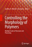 Controlling the Morphology of Polymers (eBook, PDF)