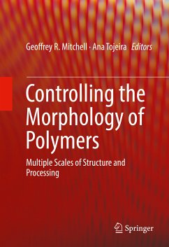 Controlling the Morphology of Polymers (eBook, PDF)