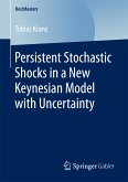Persistent Stochastic Shocks in a New Keynesian Model with Uncertainty (eBook, PDF)