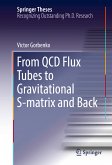 From QCD Flux Tubes to Gravitational S-matrix and Back (eBook, PDF)