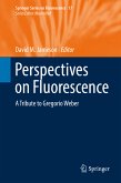Perspectives on Fluorescence (eBook, PDF)