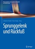 Sprunggelenk und Rückfuß (eBook, PDF)