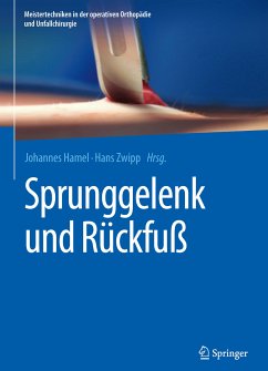 Sprunggelenk und Rückfuß (eBook, PDF)