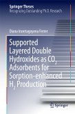Supported Layered Double Hydroxides as CO2 Adsorbents for Sorption-enhanced H2 Production (eBook, PDF)