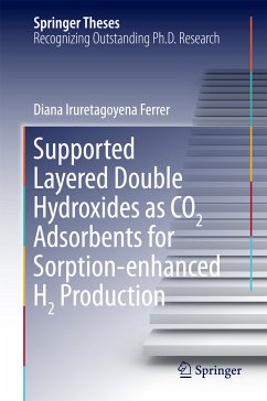 Supported Layered Double Hydroxides as CO2 Adsorbents for Sorption-enhanced H2 Production (eBook, PDF) - Iruretagoyena Ferrer, Diana