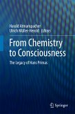 From Chemistry to Consciousness (eBook, PDF)