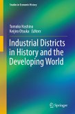 Industrial Districts in History and the Developing World (eBook, PDF)