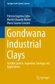 Gondwana Industrial Clays (eBook, PDF)