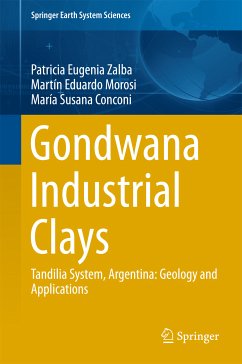 Gondwana Industrial Clays (eBook, PDF) - Zalba, Patricia Eugenia; Morosi, Martín Eduardo; Conconi, María Susana