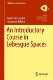 An Introductory Course in Lebesgue Spaces (eBook, PDF)