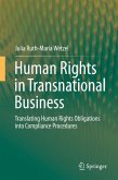 Human Rights in Transnational Business (eBook, PDF)