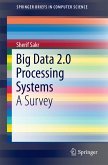 Big Data 2.0 Processing Systems (eBook, PDF)