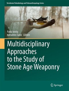 Multidisciplinary Approaches to the Study of Stone Age Weaponry (eBook, PDF)