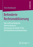 Behinderte Rechtsmobilisierung (eBook, PDF)