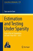 Estimation and Testing Under Sparsity (eBook, PDF)