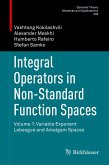 Integral Operators in Non-Standard Function Spaces (eBook, PDF)