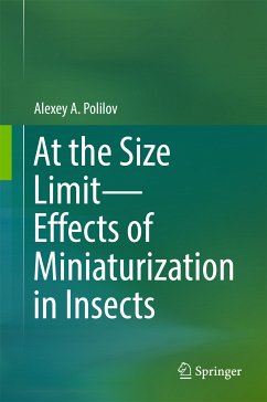 At the Size Limit - Effects of Miniaturization in Insects (eBook, PDF) - Polilov, Alexey A.