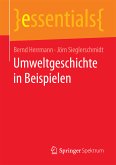 Umweltgeschichte in Beispielen (eBook, PDF)